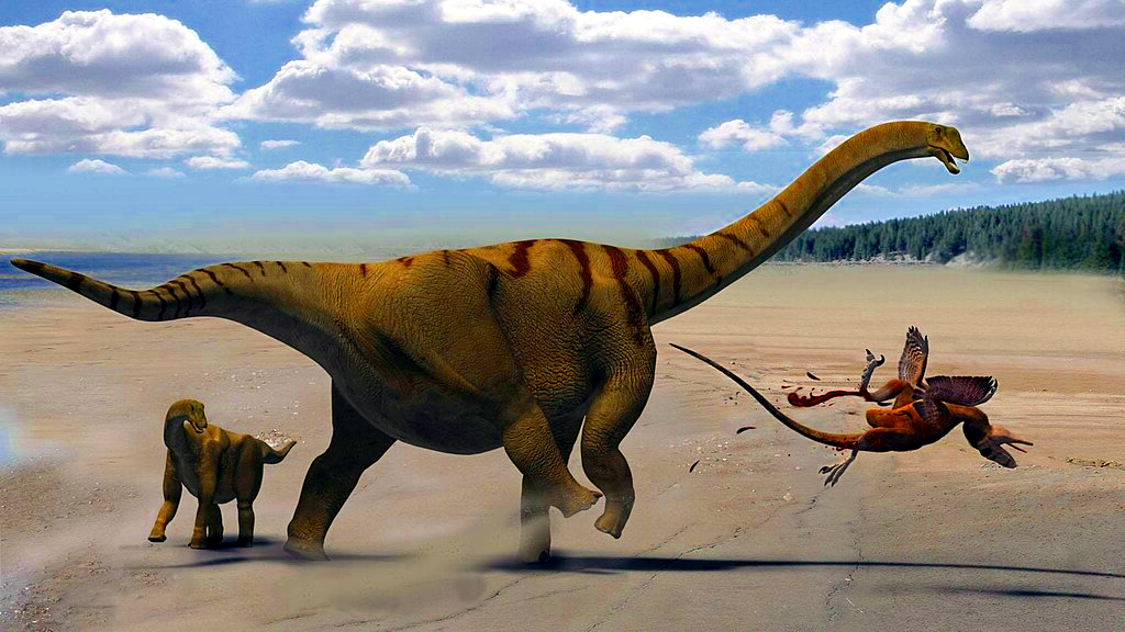 А вот желудков зауроподов раньше не находили.