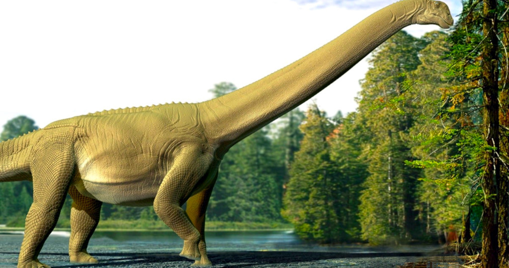 Что ели длинношеие гиганты