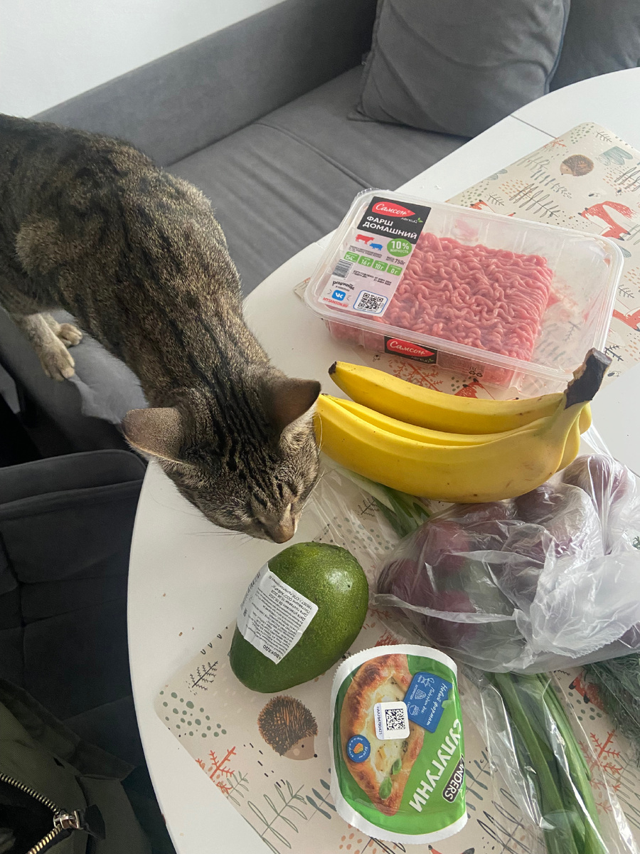 Это всё прекрасно, но где гостинчики для кошеньки??