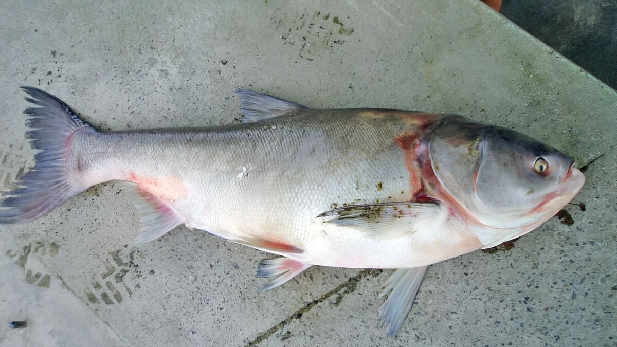     Источник: transsibinfo.com