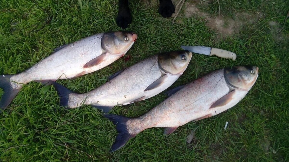     Источник: freepik.com