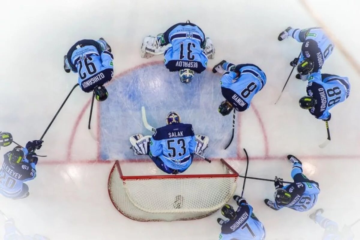    Хоккейный клуб "Сибирь" пополнился семью новыми игроками