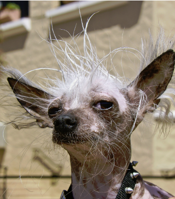 Из Яндекс картинок