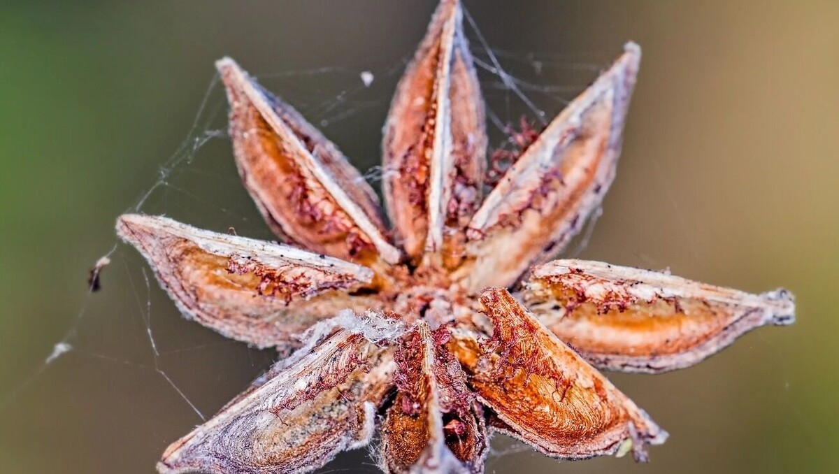     Источник: freepik.com