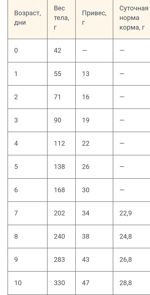 Фото из интернета