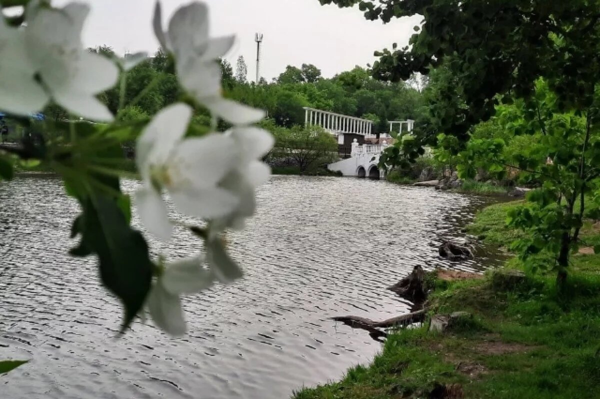    Сильные дожди, жара и туманы: погода 14 июня в Хабаровском крае