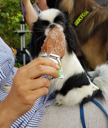 Митяйка. А мороженка вкуснее жаб! И на бешеную совсем не похожа.