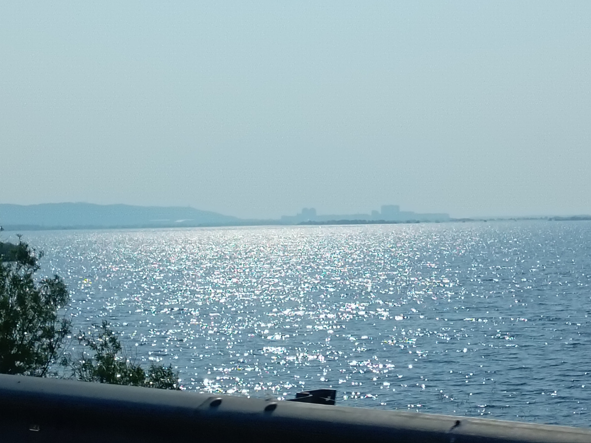 Фото автора.