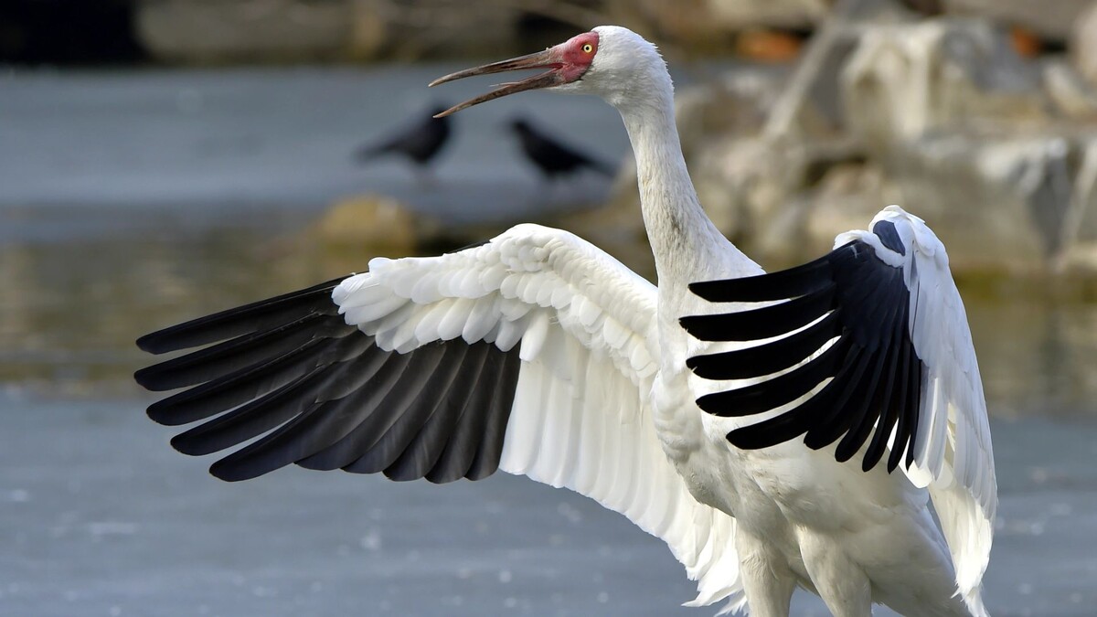    Фото: Wang LiQiang/Shutterstock/Fotodom