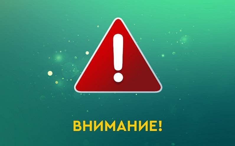    Источник фото: t.me/lesmoadmin