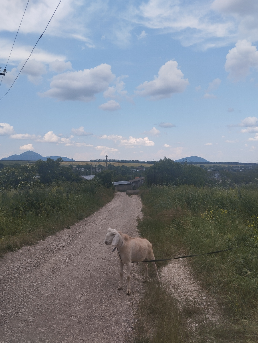 Иногда вокруг столько возможностей, а мы ощущаем себя привязанными к чему-то или кому-то и с сожалением взираем вдаль за горизонт