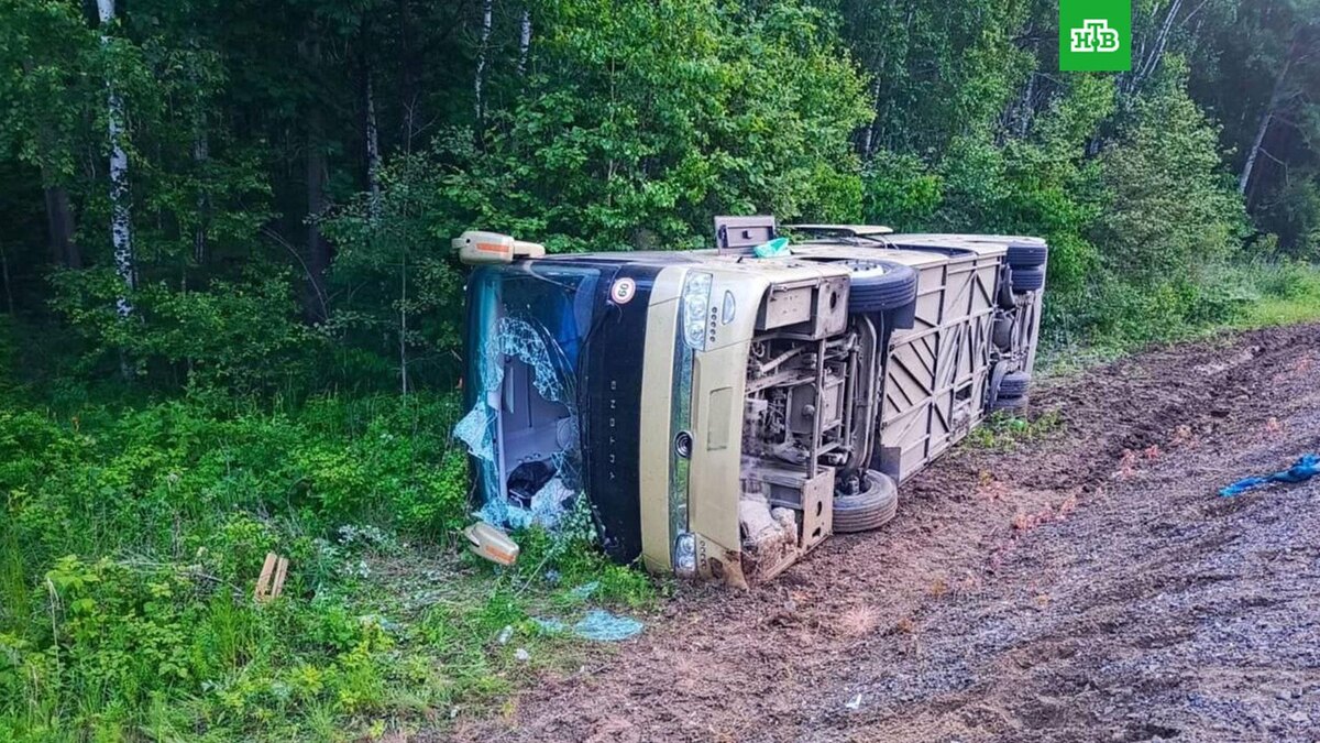    Фото: gibdd27 / t.me