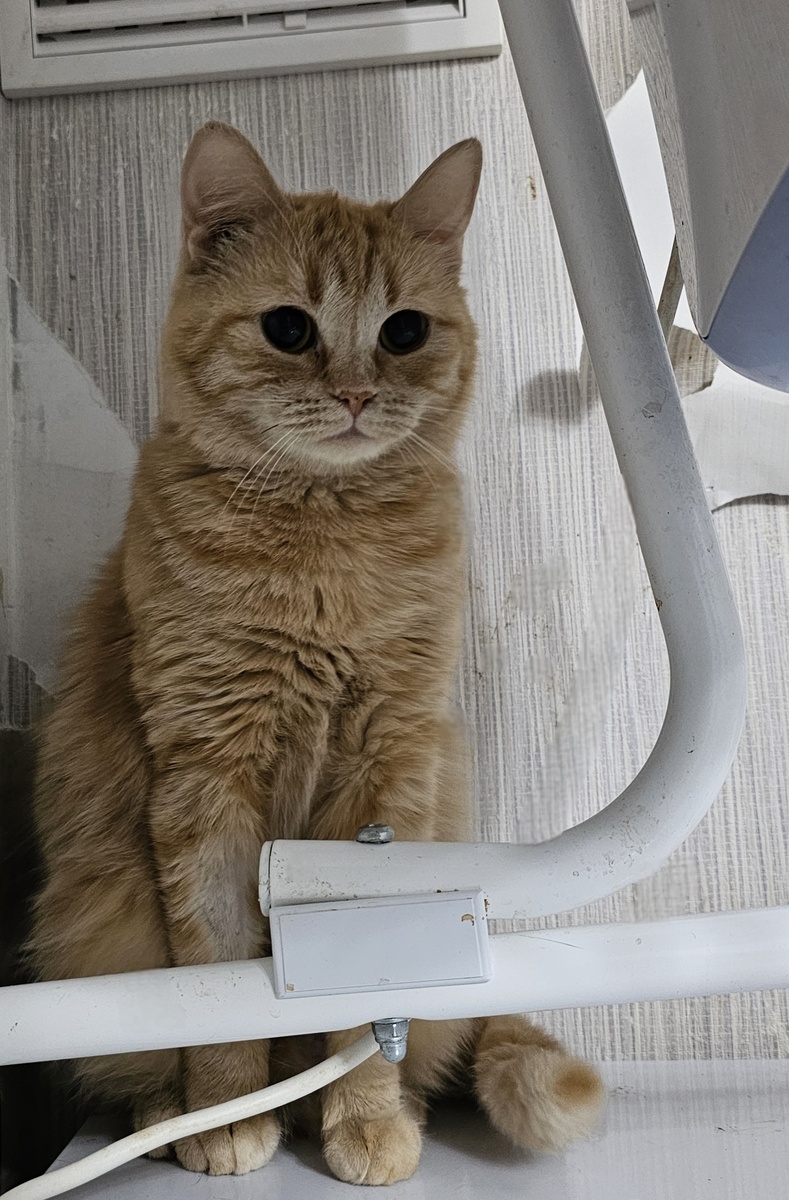 Фото автора. Наша Ясиния.