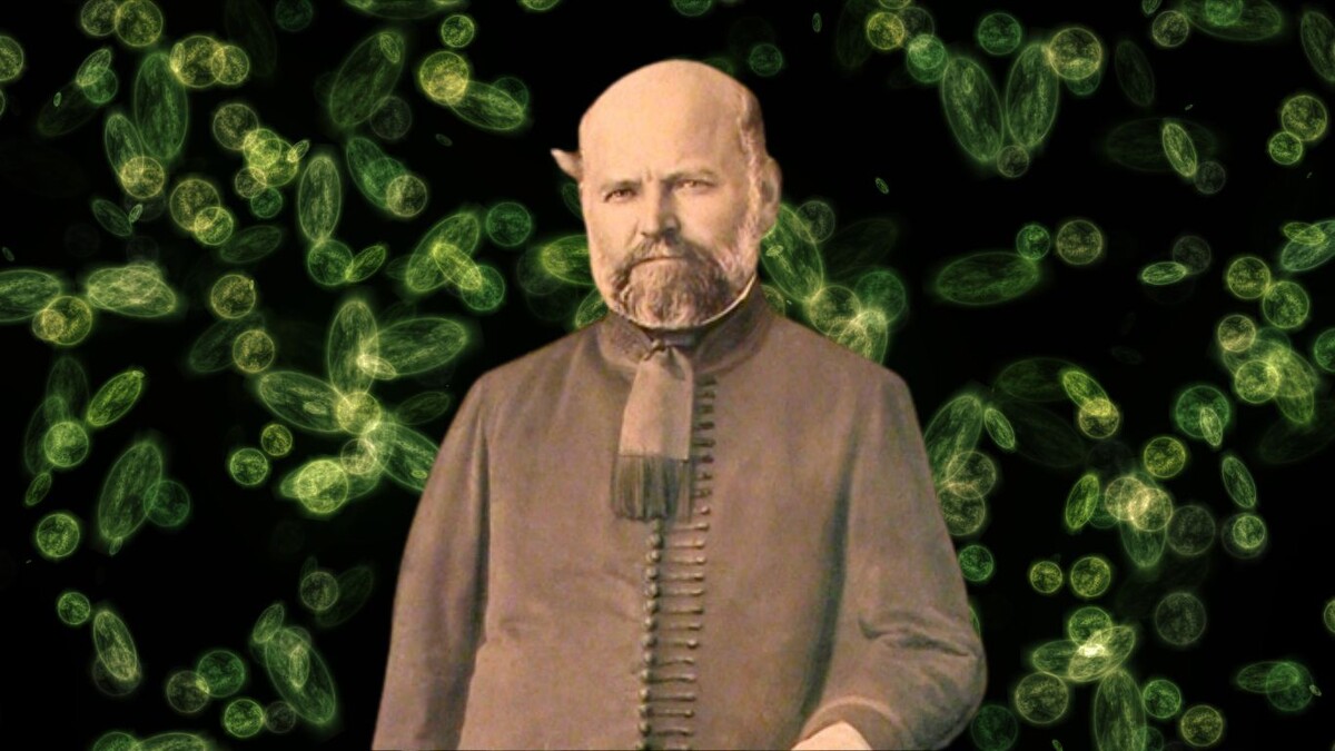 Доктор, который спас миллионы — и умер в психушке