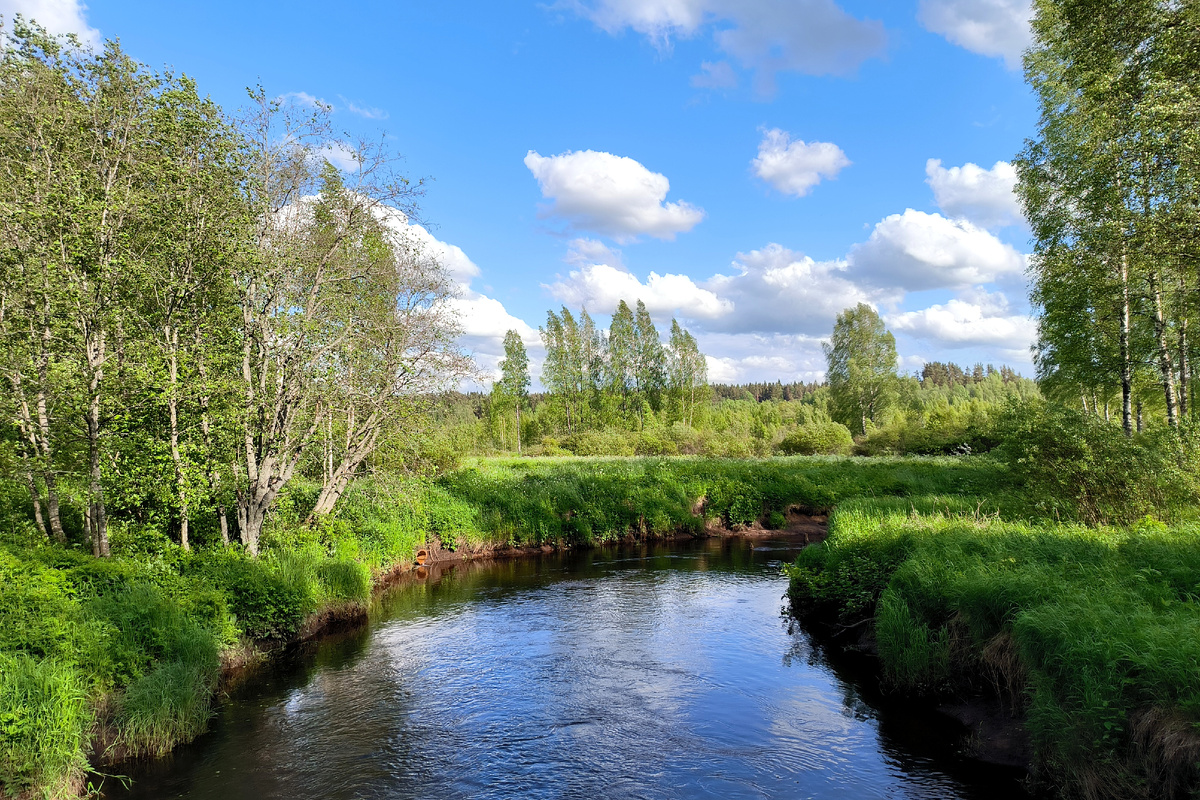 фото: Maksim Konstantinov/Global Look Press