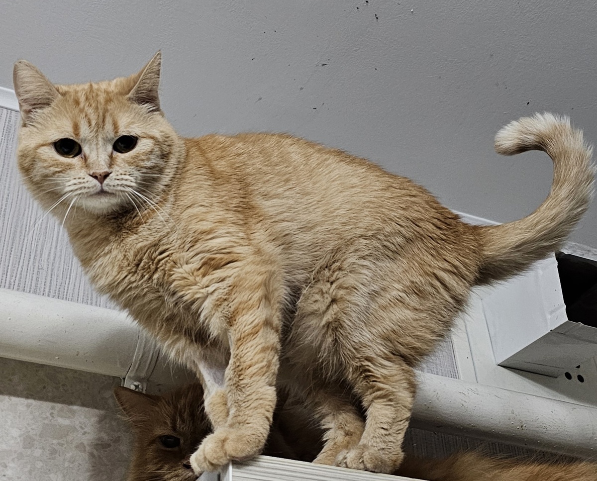 Фото автора. Наша Ясиния.