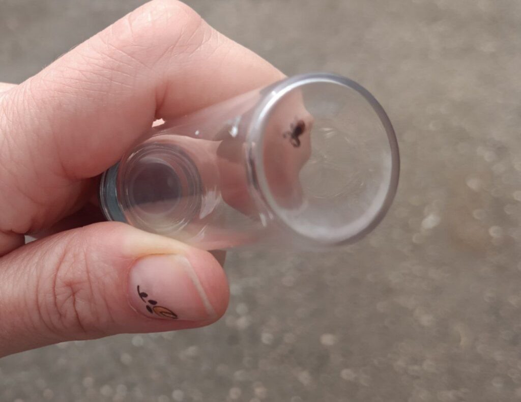    Фото: В курсе.ру Ульяна Бажанова