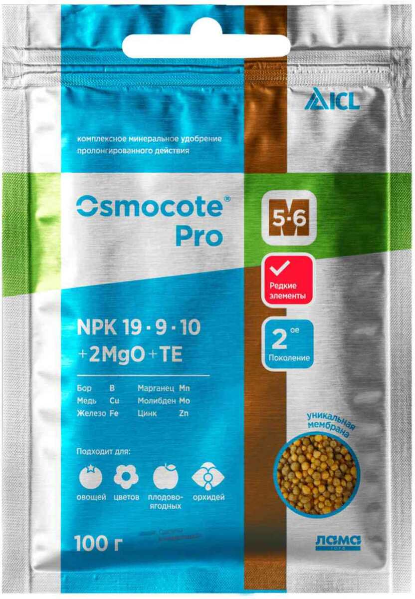 Фото взято из открытого источника