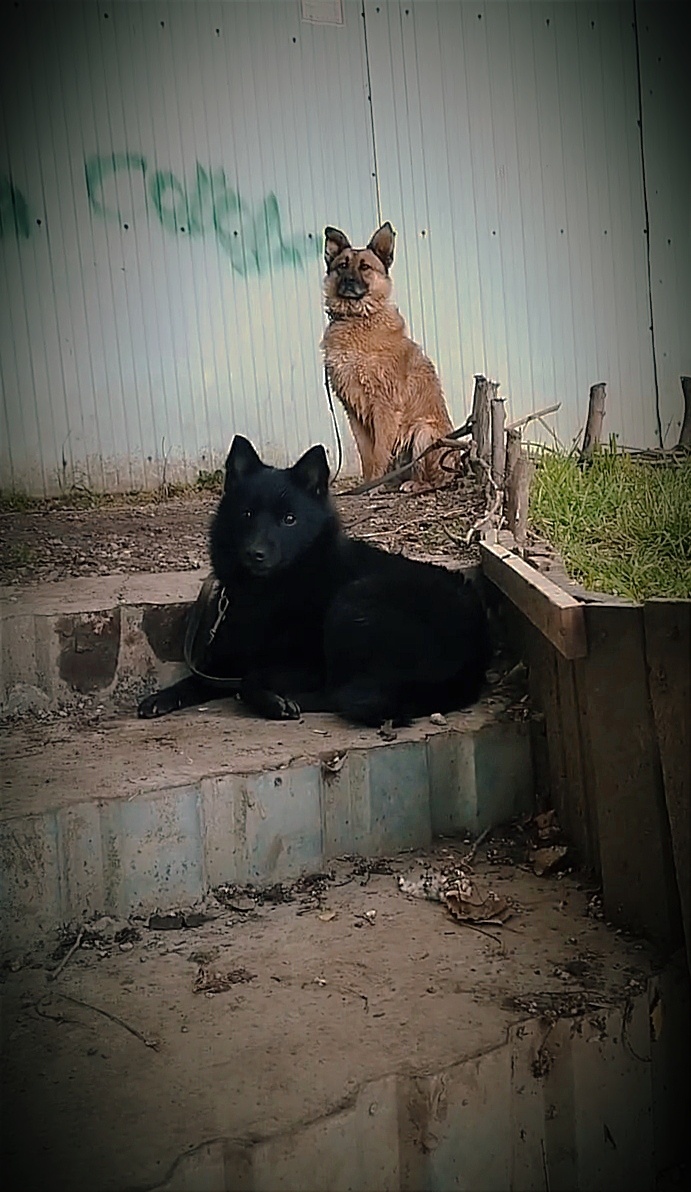 В ожиданиях девочек, пока те поснимают друг-друга 😁