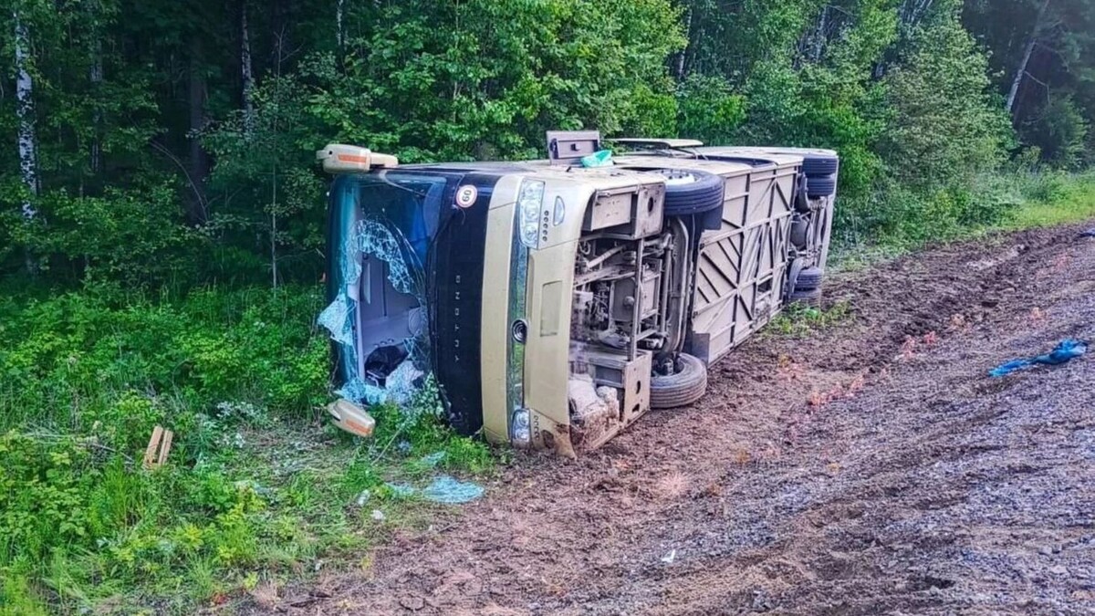    Фото: t.me/gibdd27/19012