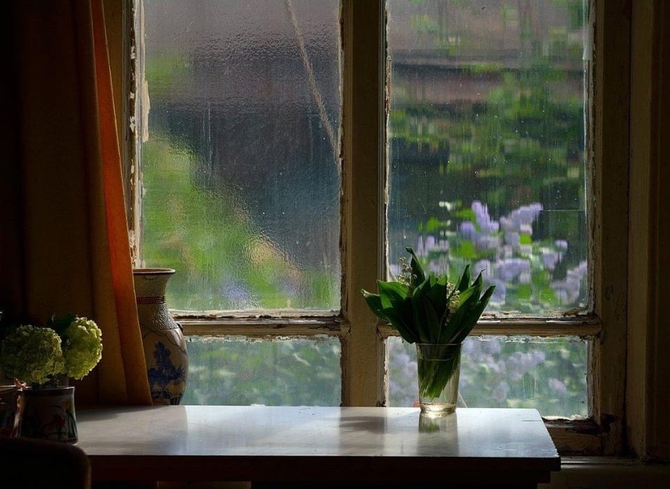 фото Надежды Павлючковой-Кочневой