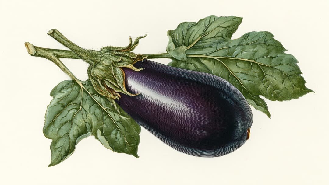 Баклажаны - предатели?