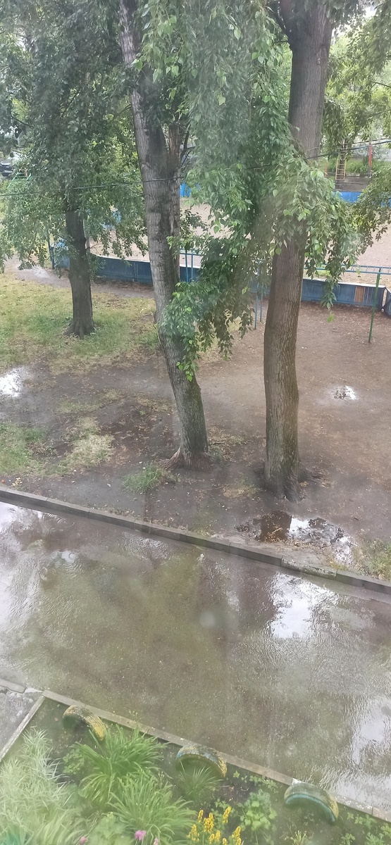 С раннего утра погода "порадовала" грозой и ливнем. 