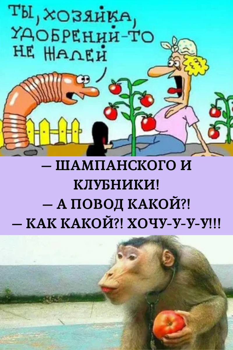 -4
