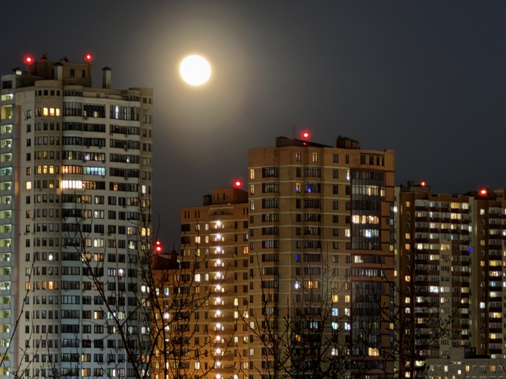    Фото: Alexander Legky/Globallookpress