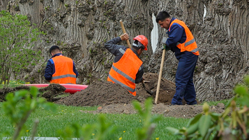    Фото: Shatokhina Natalia/Globallookpress.