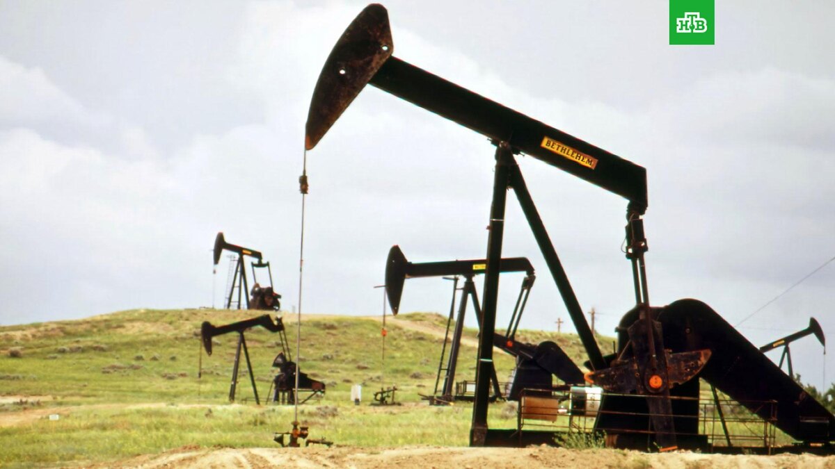    Фото: Documerica / unsplash.com