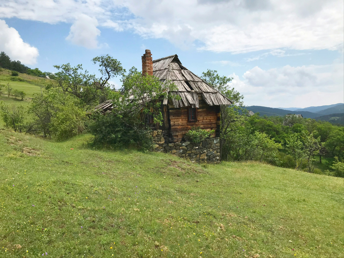 Изображение взято из открытых источников.