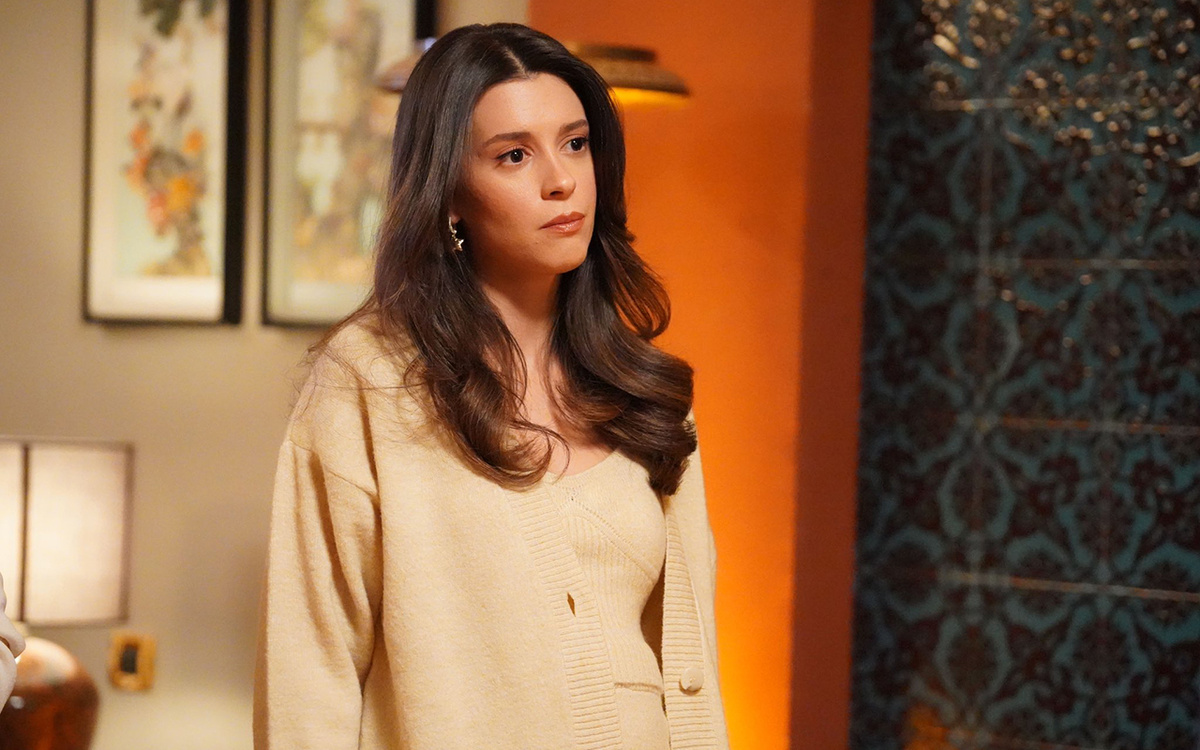 Кадр из сериала "Зимородок"