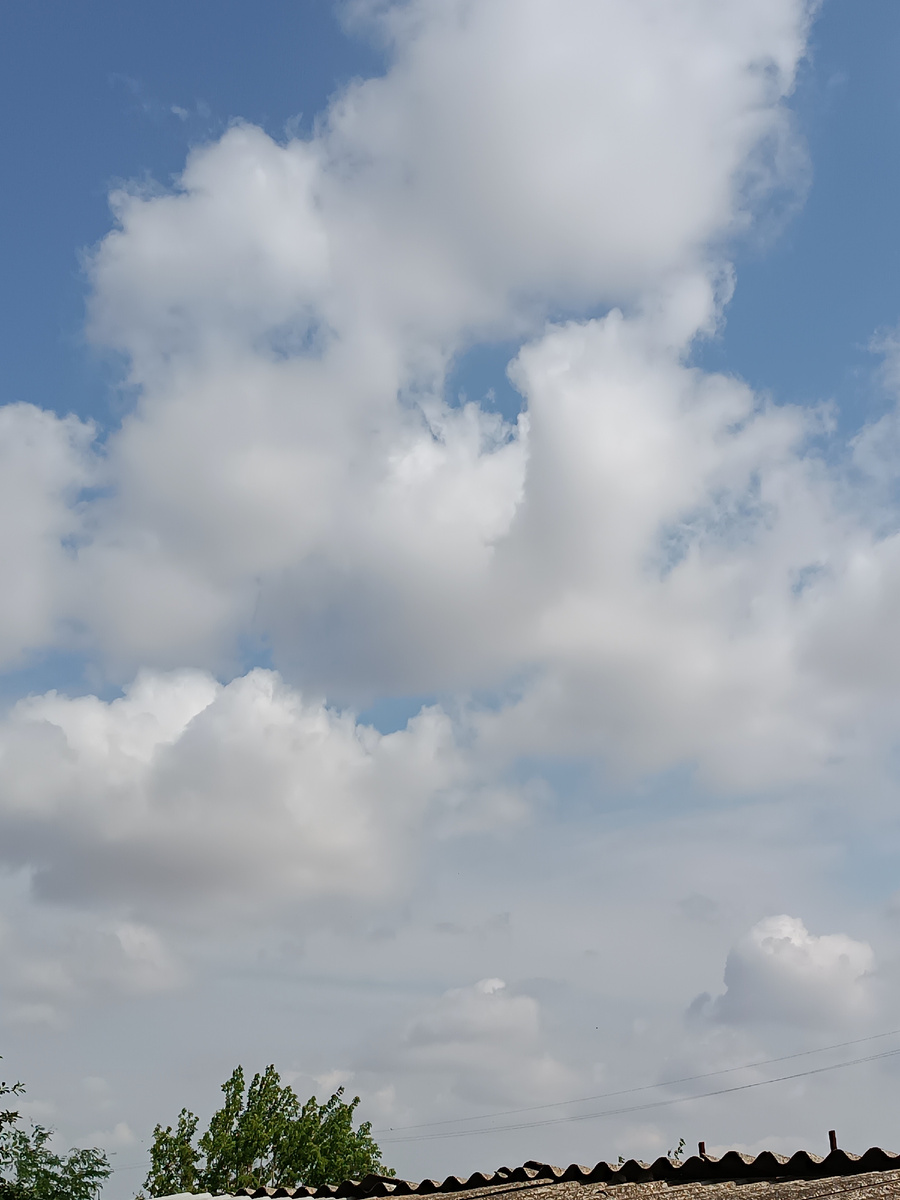 Ветер не стихает. 