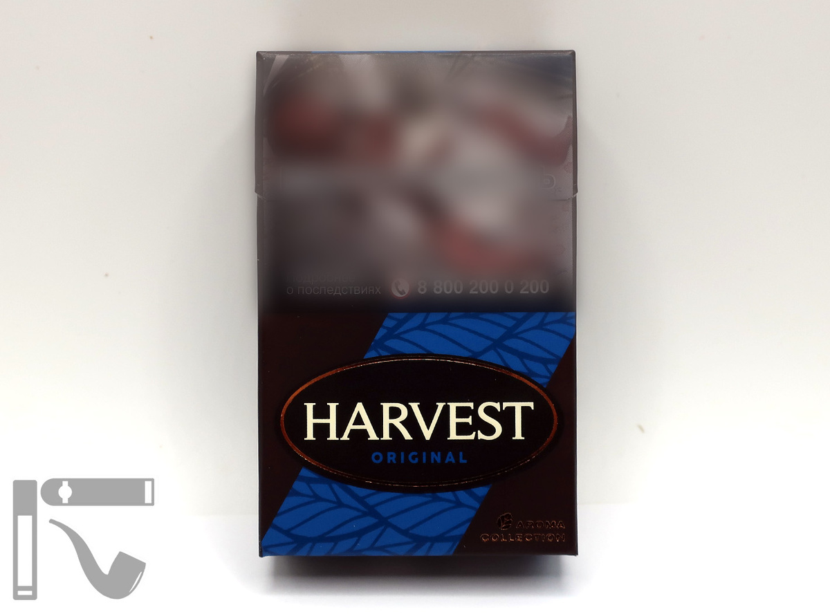 Сигареты Harvest Original 2025 года. Фото: © канал "Уголок Курильщика"