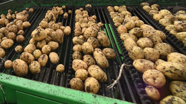    © Sputnik / Илья Наймушин