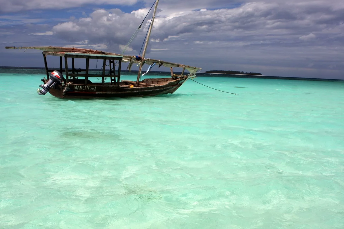 Фото взято здесь: https://lyl.su/Zanzibar