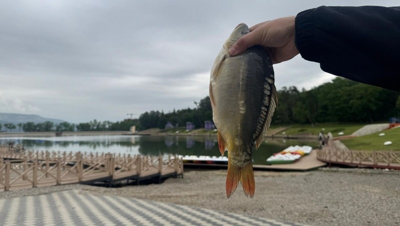      Фото: Администрация Кисловодска