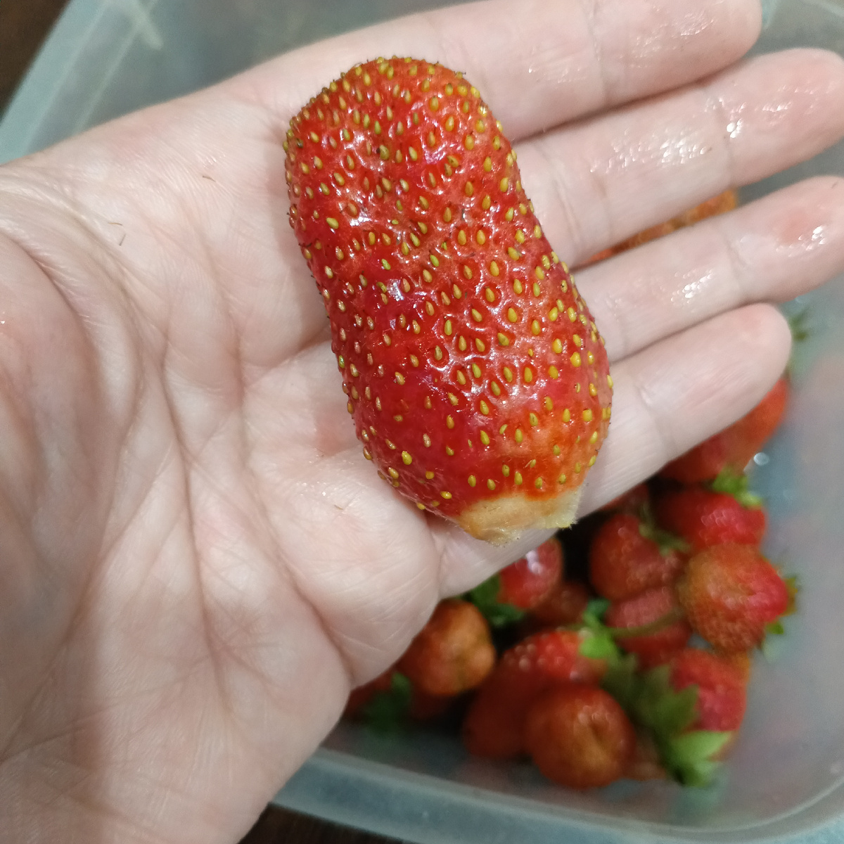 Пока много крупной