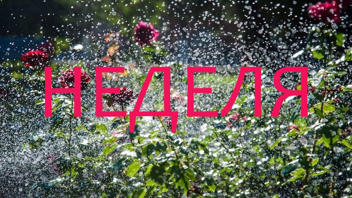 Дождь. Фото kasheloff.ru