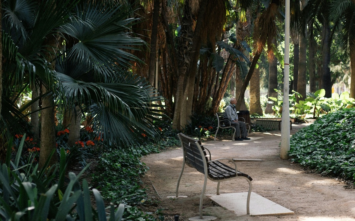 Фото: unsplash.com