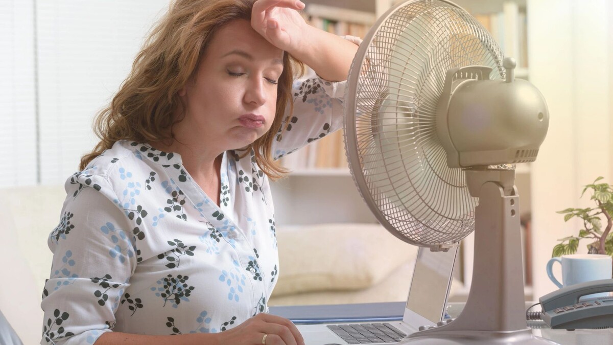    Фото: Monika Wisniewska / Shutterstock / Fotodom