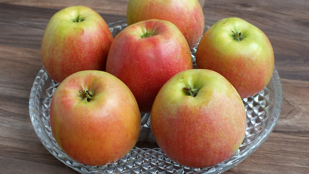    фото: Victor Lisitsyn, Виктор Л/Global Look Press