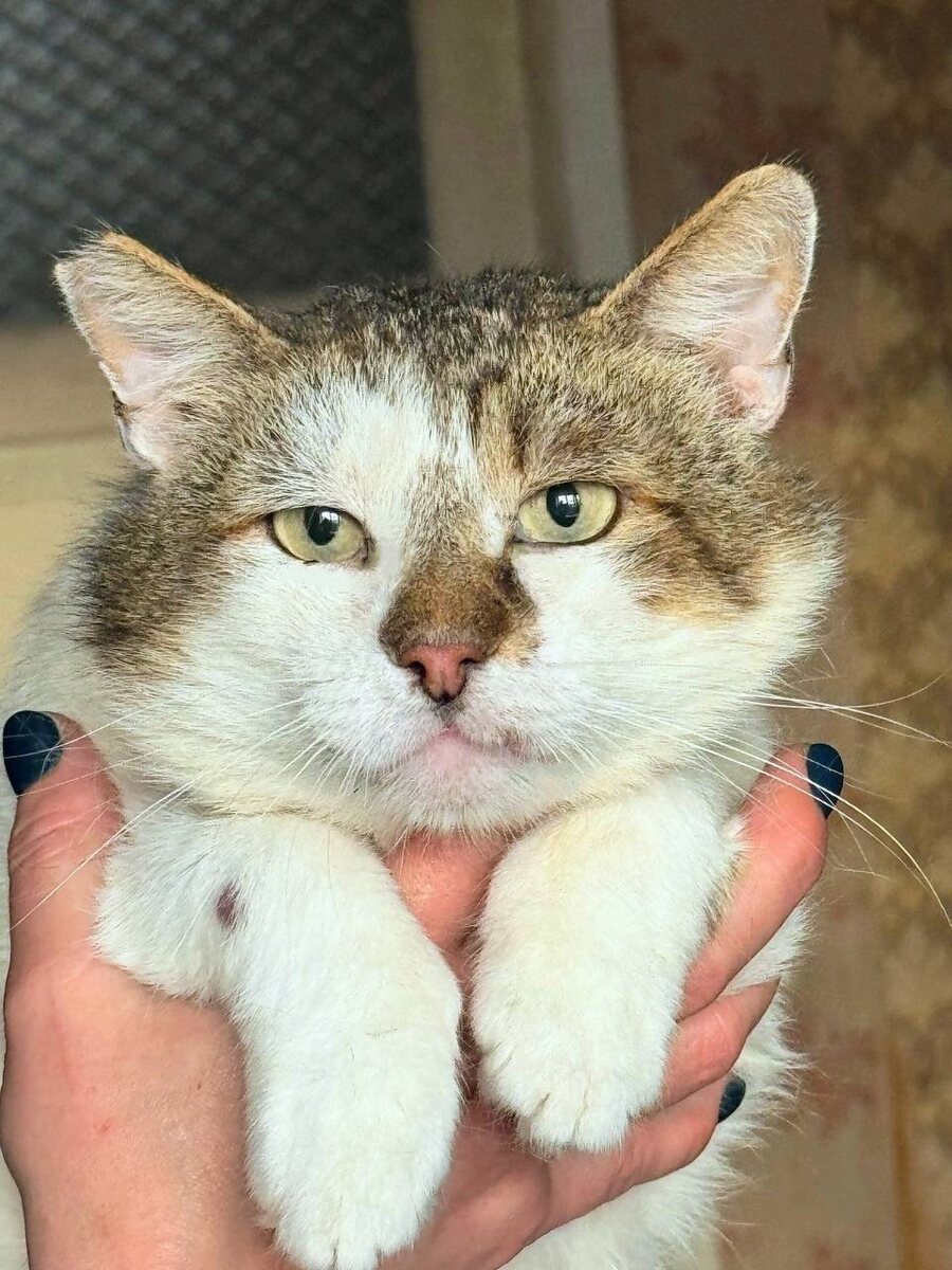 Тихон уехал в новый дом. Удачи тебе! Фото из архива автора