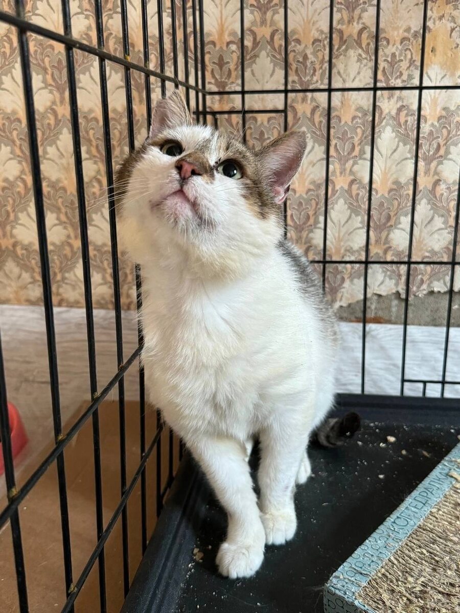 Вот такой он внимательный к людям. Фото из архива автора