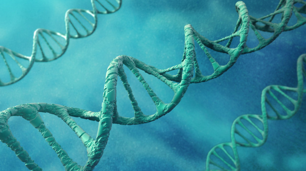    Тайна озера скелетов Раскрыты ДНК мутантов и секреты НКВД