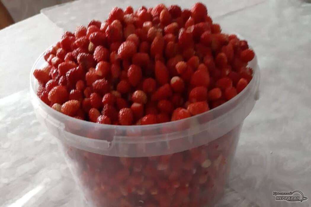    Фото: читатель © ИА «Уральский меридиан»