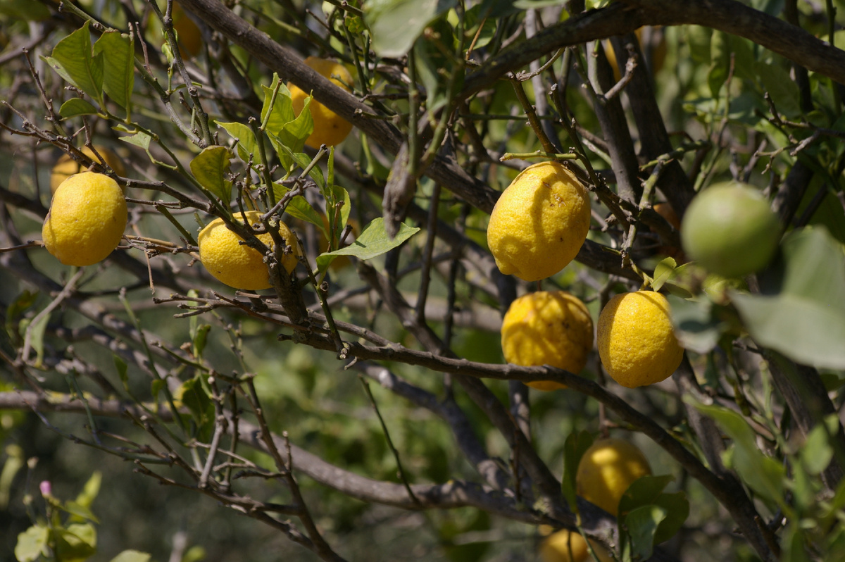 Страхование имущества для физических лиц 