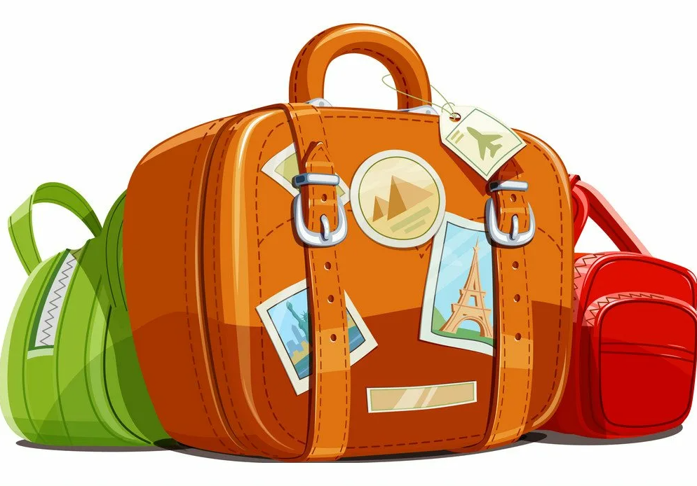 Алкоголь на борту самолета: можно или нельзя? Разбираем правила провоза в ручной клади.