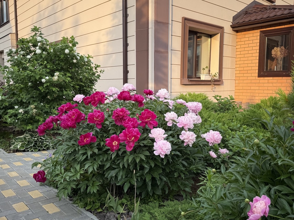 Фото автора канала дом с кипарисами